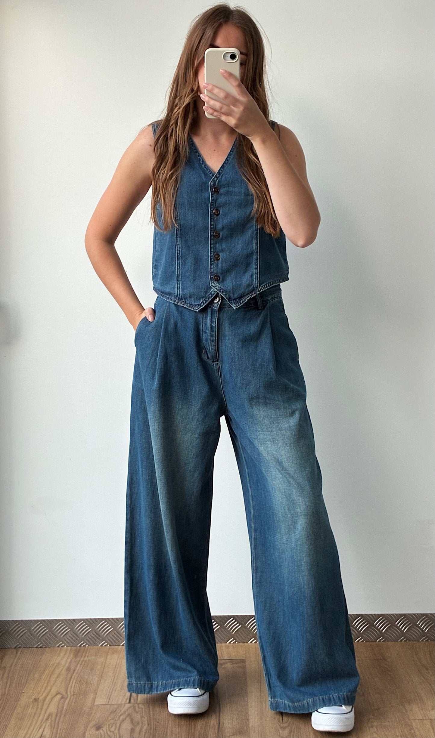 Ensemble DENIM