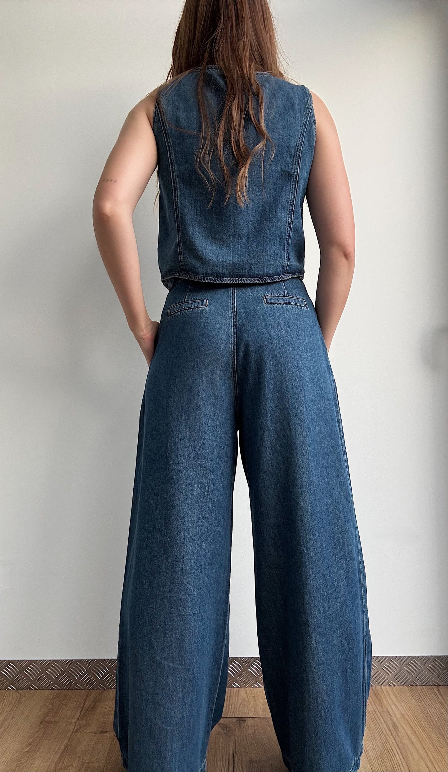 Ensemble DENIM
