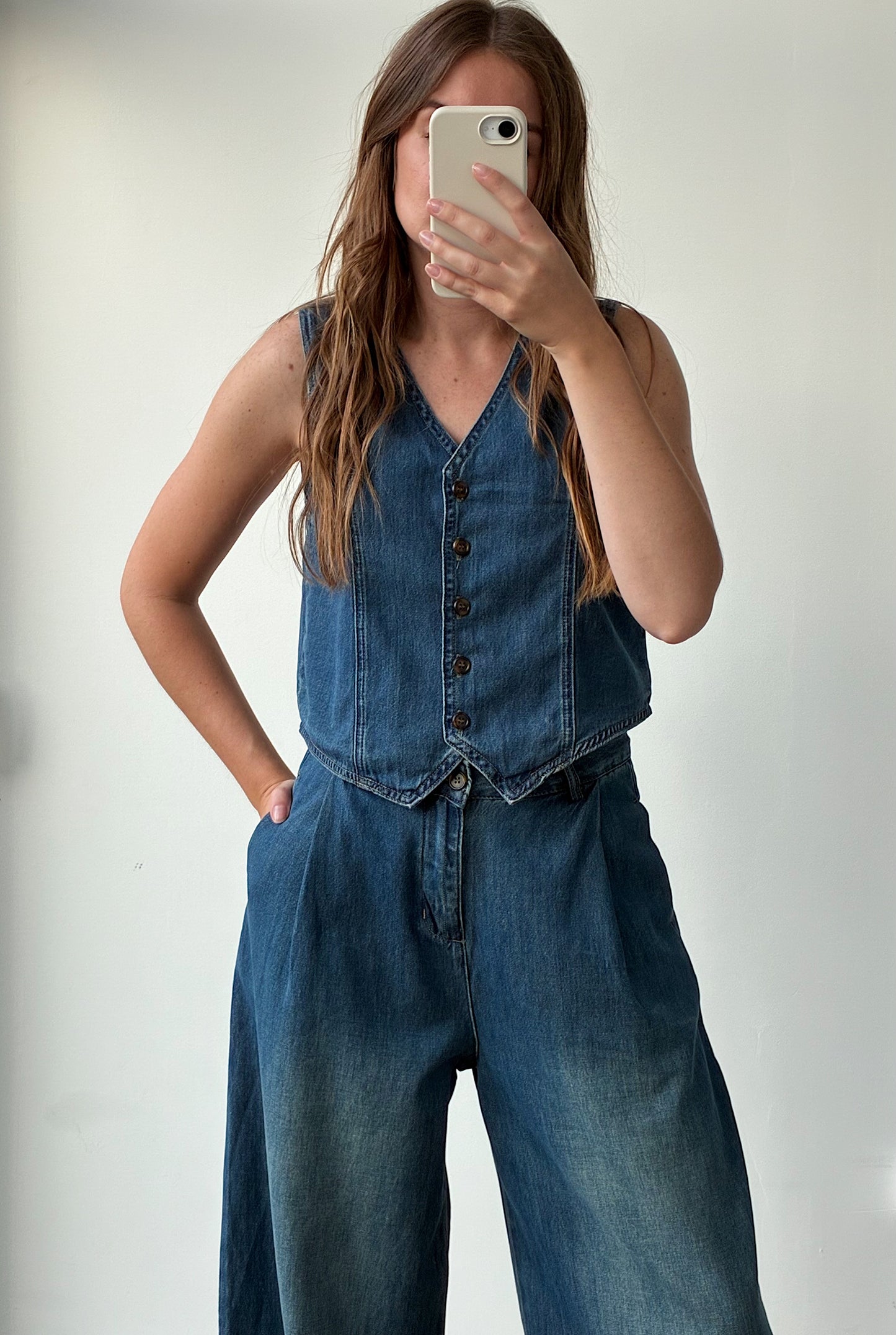 Ensemble DENIM