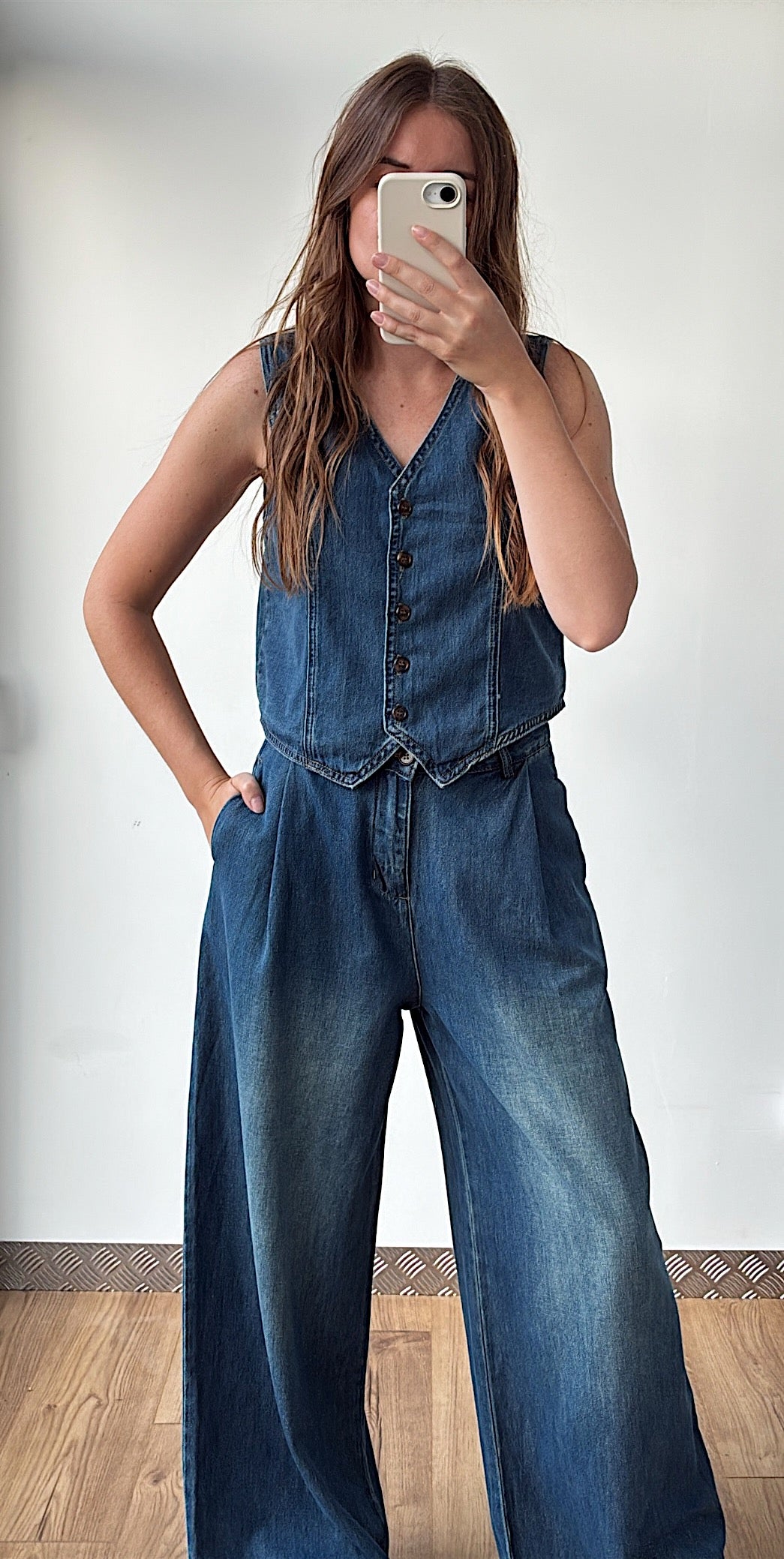 Ensemble DENIM