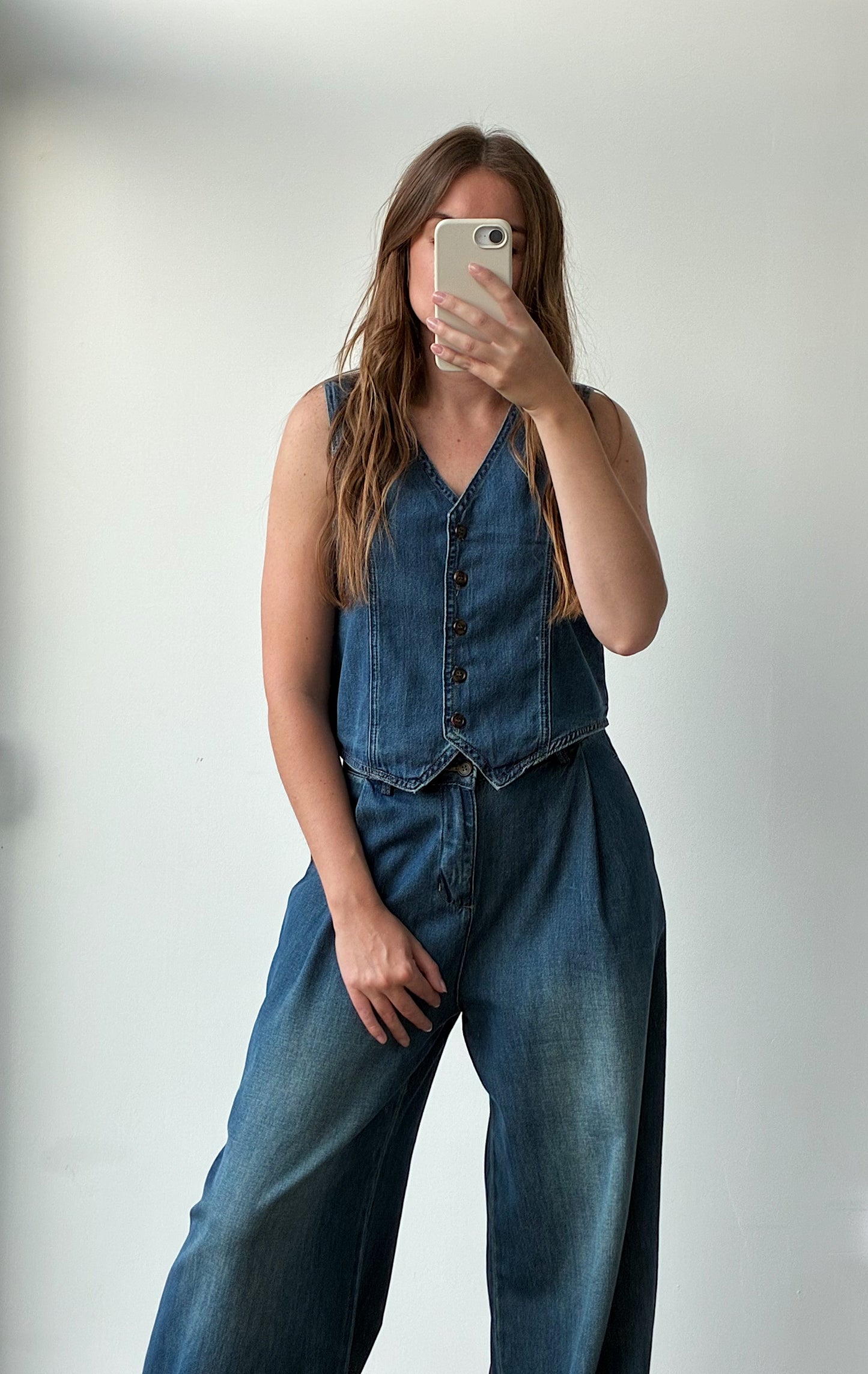 Ensemble DENIM