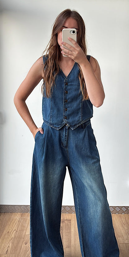 Ensemble DENIM