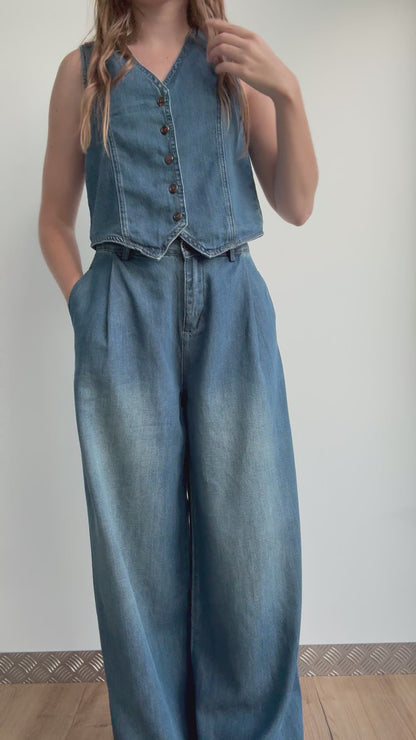 Ensemble DENIM